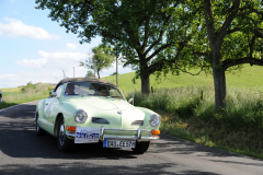 DSC_7196