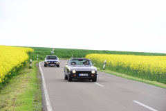 SLL_0559